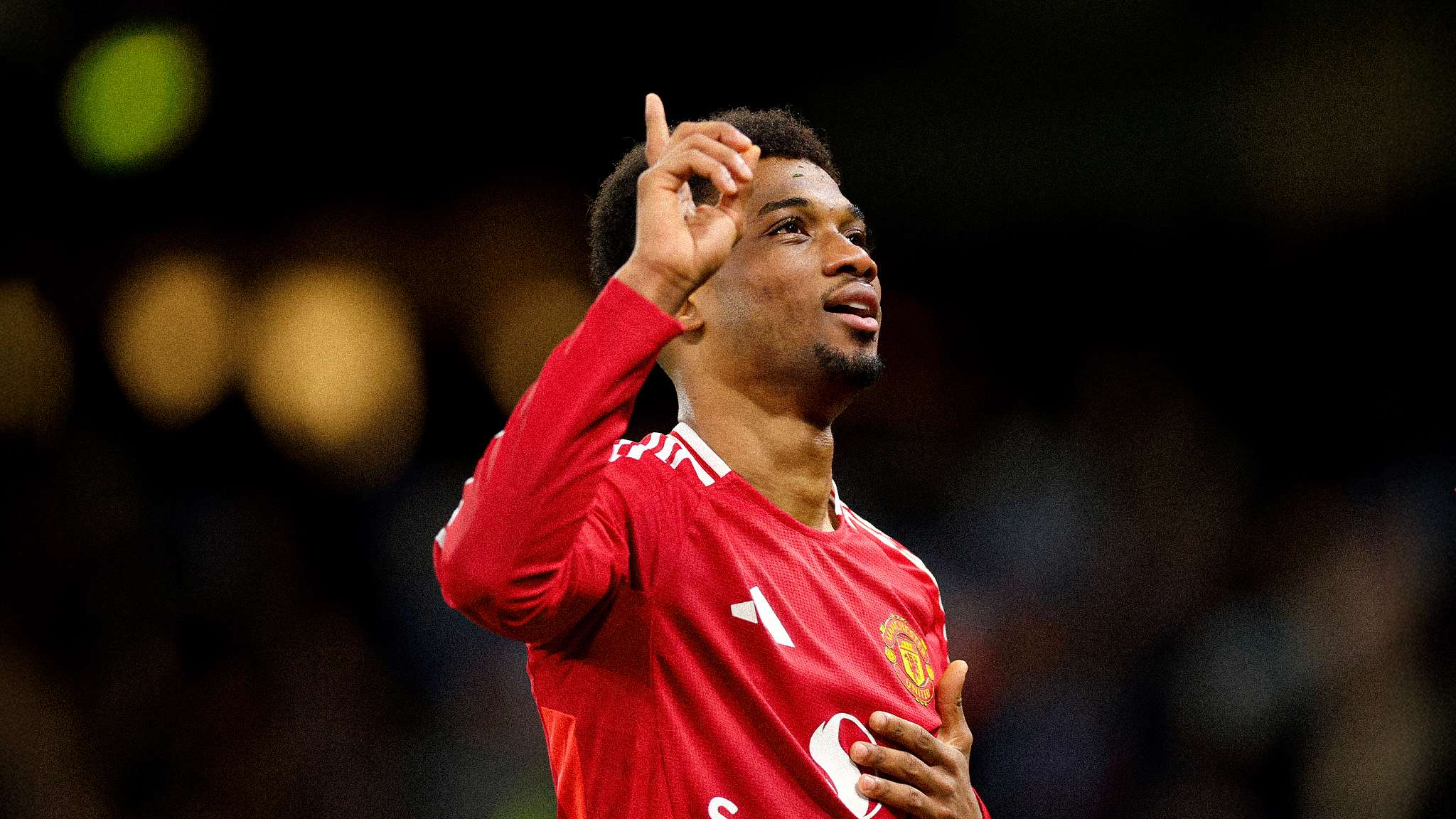 性上均显不 性上均显不