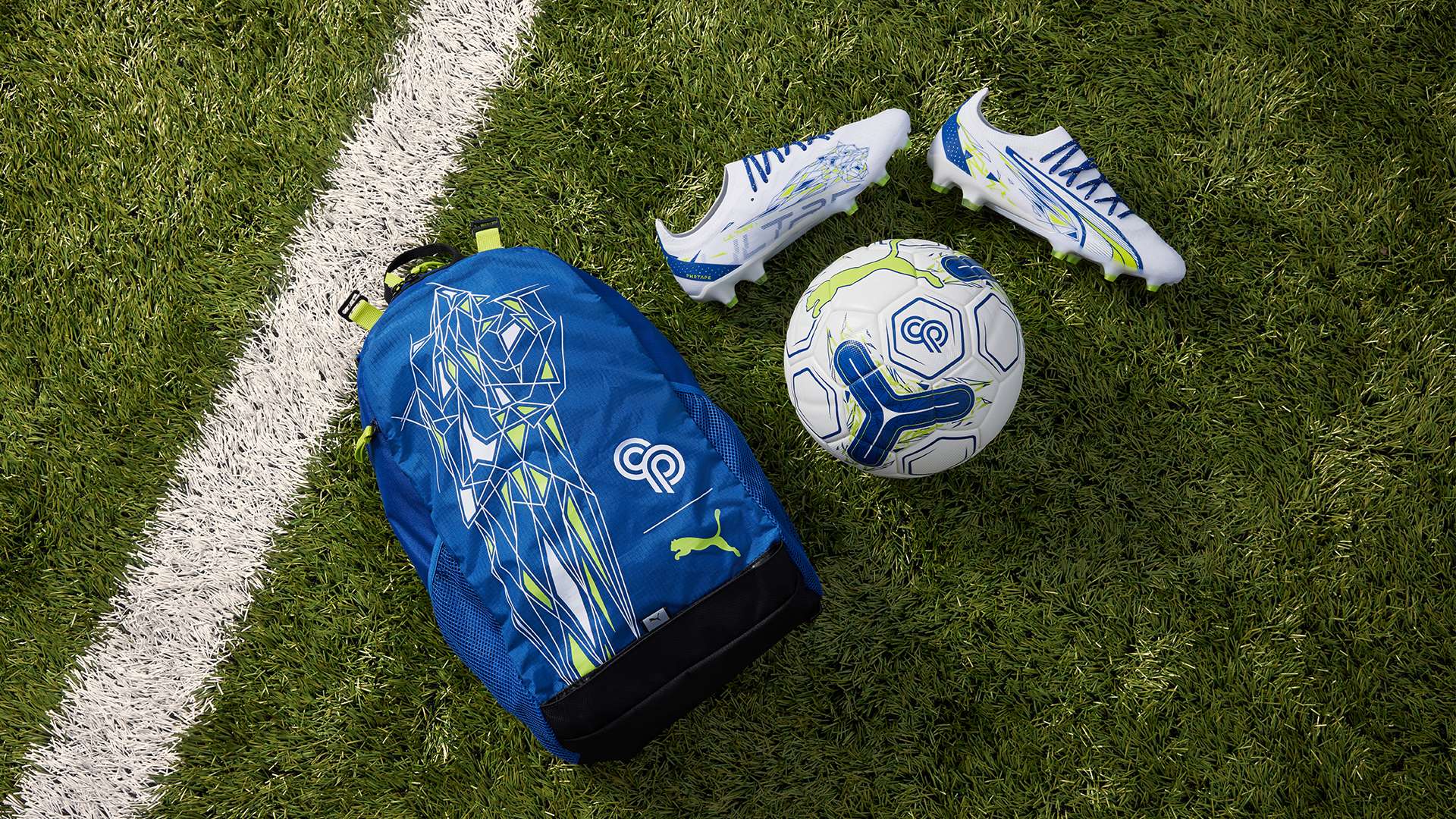 但他的传奇 但他的传奇