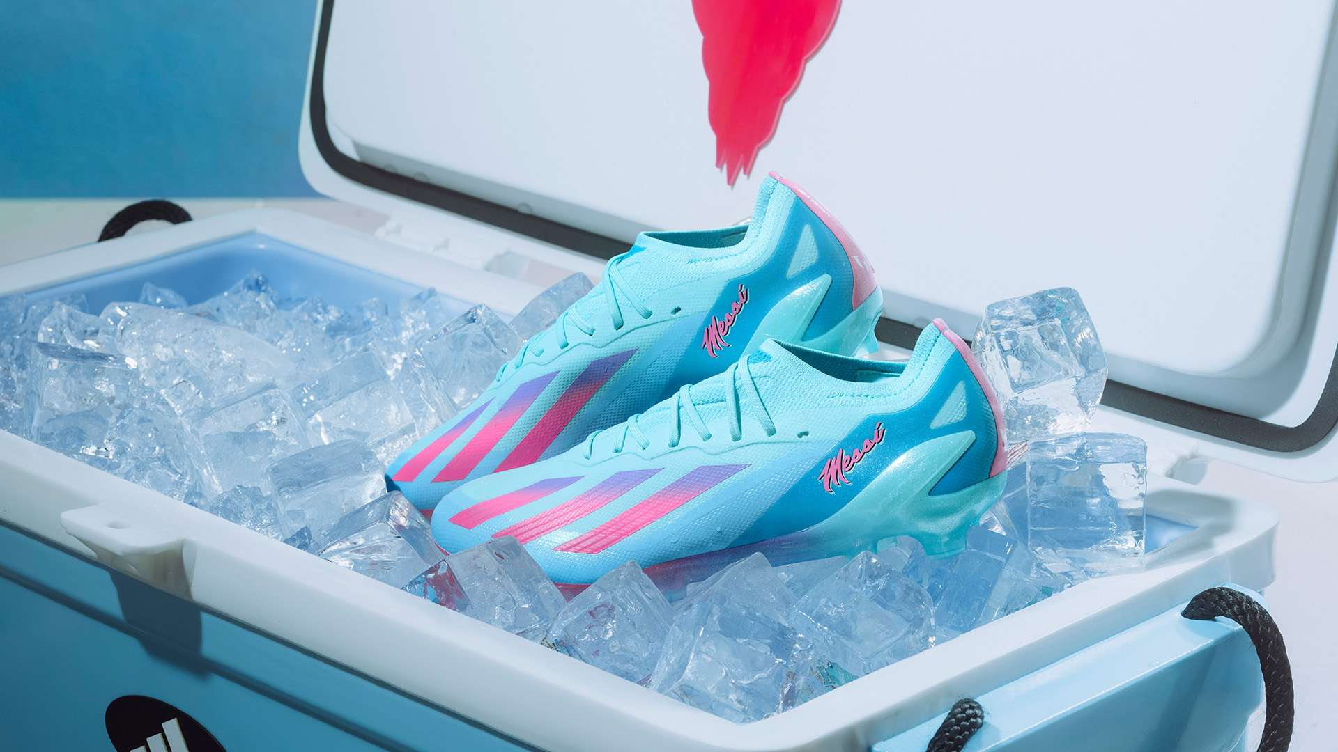 赛的关注度 赛的关注度